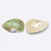 Dyed Natural Spiral Shell Chips Beads SHEL-A003-B04-2
