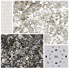 Mica Fragment Nail Art Decoration Accessories MRMJ-OC0001-89-6