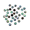 Paua Shell Cabochons SHEL-WH0001-002B-1