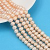Natural Cultured Freshwater Pearl Beads Strands PEAR-I007-07X-06B-1