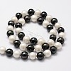 Shell Pearl Bead Strands BSHE-L017-13-2