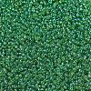 MIYUKI Round Rocailles Beads X-SEED-G007-RR0179L-2