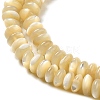 Natural Trochus Shell Beads Strands SHEL-K006-25B-3