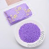 6/0 Glass Seed Beads SEED-T005-14-B04-2