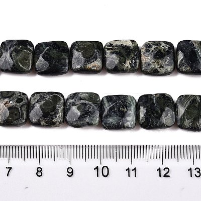 Natural Kambaba Jasper Beads Strands G-T138-171-1