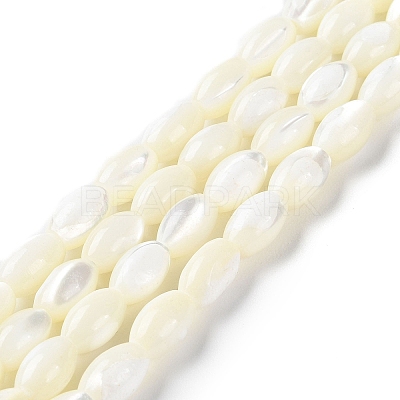 Natural Trochus Shell Beads Strands BSHE-E030-02B-1