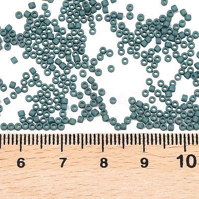 MIYUKI Delica Beads SEED-X0054-DB2407-1