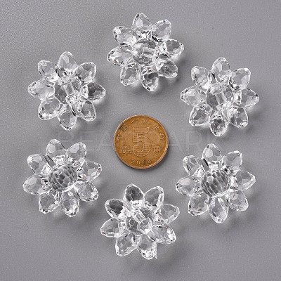 Transparent Acrylic Beads TACR-491-01-1