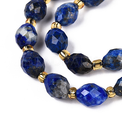 Natural Lapis Lazuli Beads Strands G-N342-35-8x6-10-1