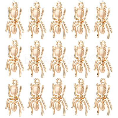 24Pcs Brass Charms KK-BC0010-10-1
