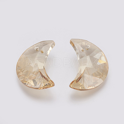 K9 Glass Rhinestone Pendants GLAA-K034-G01-1