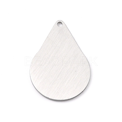 Tarnish Resistant 304 Stainless Steel Pendants STAS-F271-05E-P-1