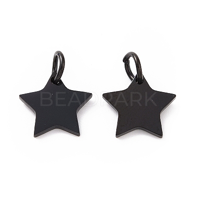 304 Stainless Steel Charms STAS-Q201-T461B-1