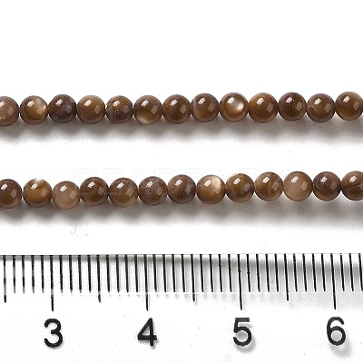 Natural Freshwater Shell Beads Strands SHEL-H003-03D-1