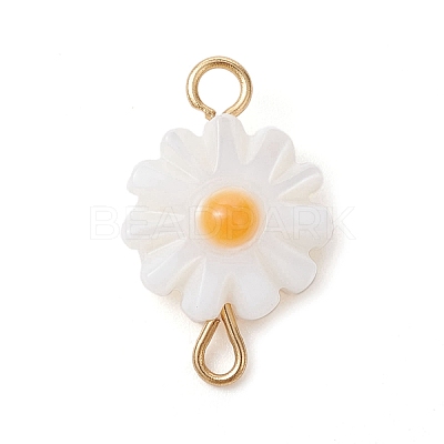 Natural Freshwater Shell Connector Charms PALLOY-JF02443-1