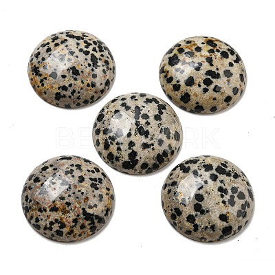 Natural Dalmatian Jasper Cabochons G-C115-02B-21-1