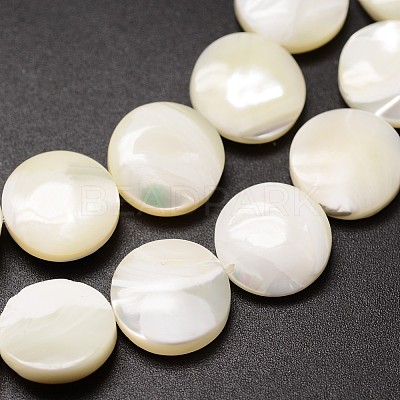 Natural Trochid Shell/Trochus Shell Beads Strands SSHEL-K016-03B-1