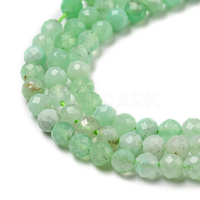 Natural Chrysoprase Beads Strands G-A097-A16-03-1