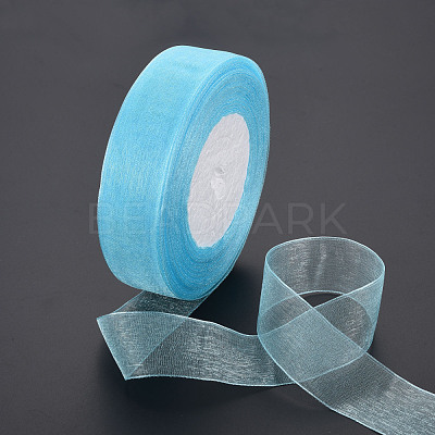 Sheer Organza Ribbon RS25mmY062-1