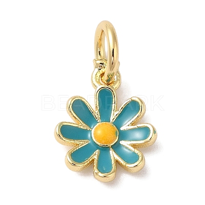 Brass Enamel Charms KK-L216-006G-04-1