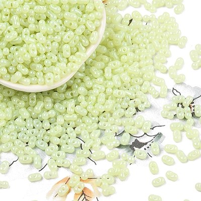 Baking Paint Glass Seed Beads SEED-L011-09A-21-1