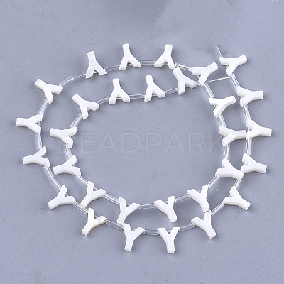 Freshwater Shell Beads X-SHEL-T012-59Y-1