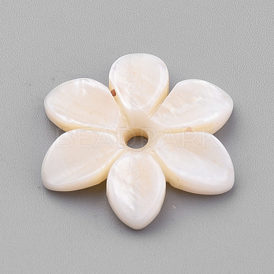 Natural Freshwater Shell Beads SHEL-S269-32-1