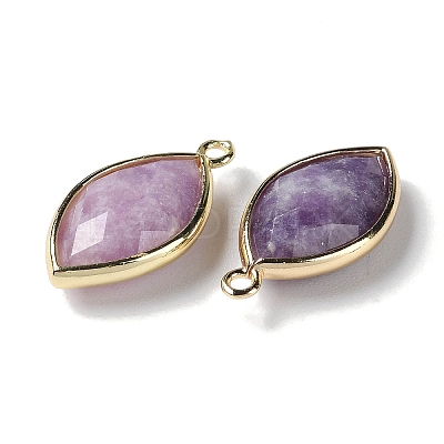 Natural Lepidolite/Purple Mica Stone Pendants G-B009-01G-01-1