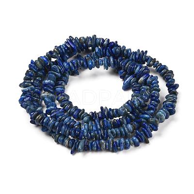 Natural Lapis Lazuli Stone Bead Strands X-G-R192-13-1