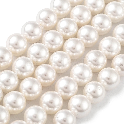 Shell Pearl Bead Strands BSHE-L026-03-8mm-1
