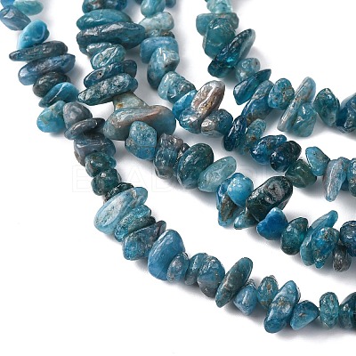 Natural Apatite Beads Strands G-F666-01B-02-01-1