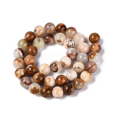 Natural Wood Lace Stone Wooden Jasper Beads Strands G-B128-A04-04-1