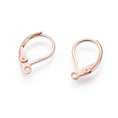 304 Stainless Steel Leverback Earring Findings STAS-P166-12RG-1