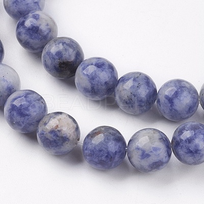 Natural Blue Spot Jasper Bead Strands X-G-R193-15-8mm-1