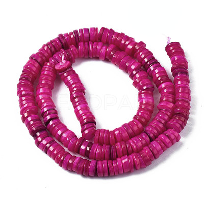 Natural Freshwater Shell Beads Strands SHEL-S278-025F-1