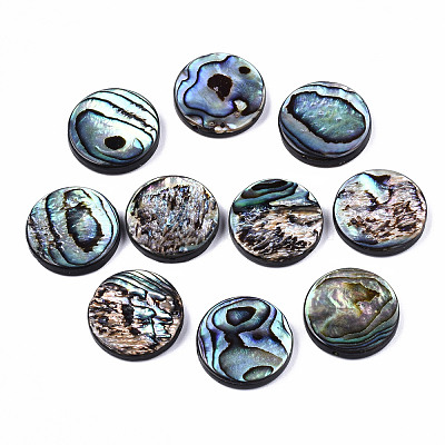 Natural Abalone Shell/Paua Shell Beads SSHEL-T014-14D-1