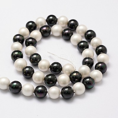 Shell Pearl Bead Strands BSHE-L017-13-1