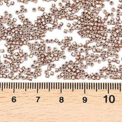 MIYUKI Delica Beads SEED-X0054-DB2504-1