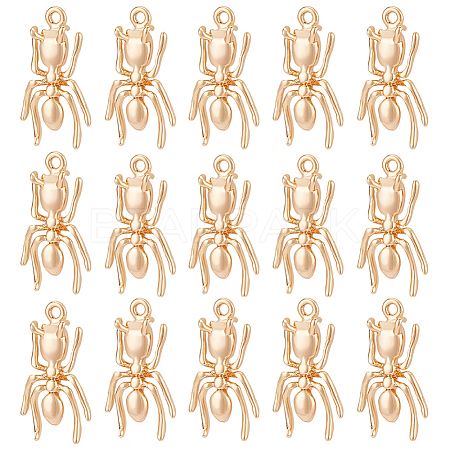 24Pcs Brass Charms KK-BC0010-10-1