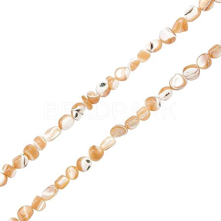 2 Strands Natural Trochid Shell/Trochus Shell Beads Strands SSHEL-FH0001-11-1