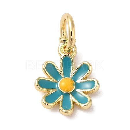Brass Enamel Charms KK-L216-006G-04-1
