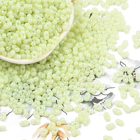 Baking Paint Glass Seed Beads SEED-L011-09A-21-1