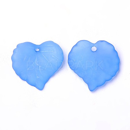 Transparent Acrylic Pendants PL591-5-1