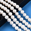 Natural Cultured Freshwater Pearl Beads Strands PEAR-N013-09C-2