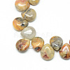 Natural Crazy Agate Gemstone Beads Strands X-G-T005-09-1