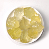 Natural Rough Raw Citrine Display Decorations G-PW0007-151A-1
