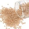 MIYUKI Round Rocailles Beads SEED-X0055-RR0234-1