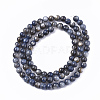 Freshwater Shell Beads Strands SHEL-S276-32A-2