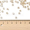 Glass Seed Beads X1-SEED-H002-F-1136-4