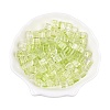 Baking Paint Transparent Glass Beads DGLA-N005-01A-06-1
